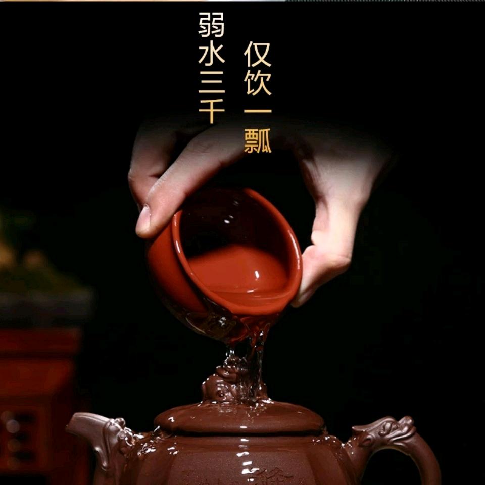 团餐领导者～能源贸易