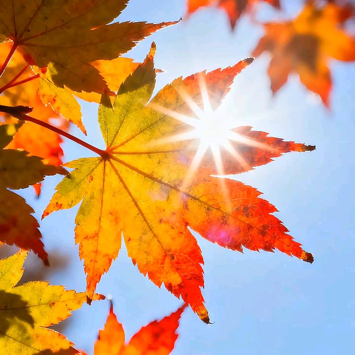 ꧔ꦿ᭄随遇꧔ꦿ而安꧔