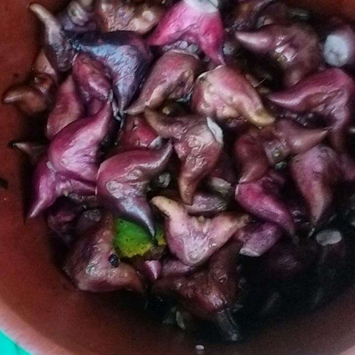 人生自古谁无死