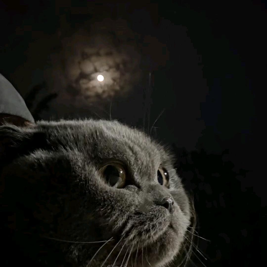 🙂