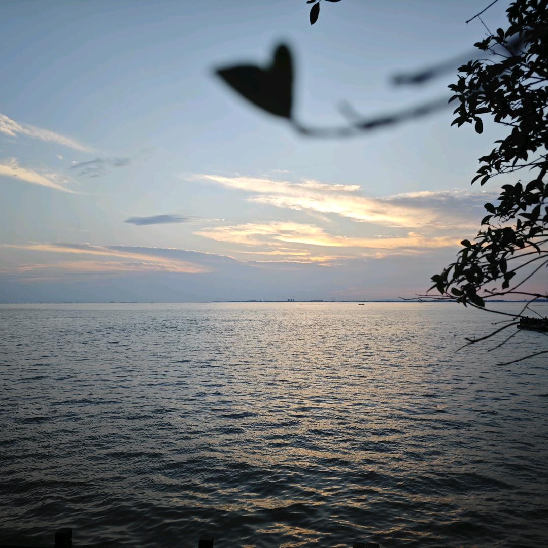 米粒