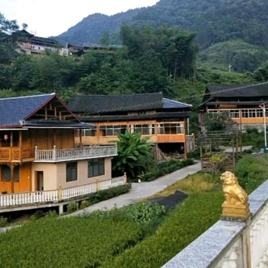 陈家三嫂子