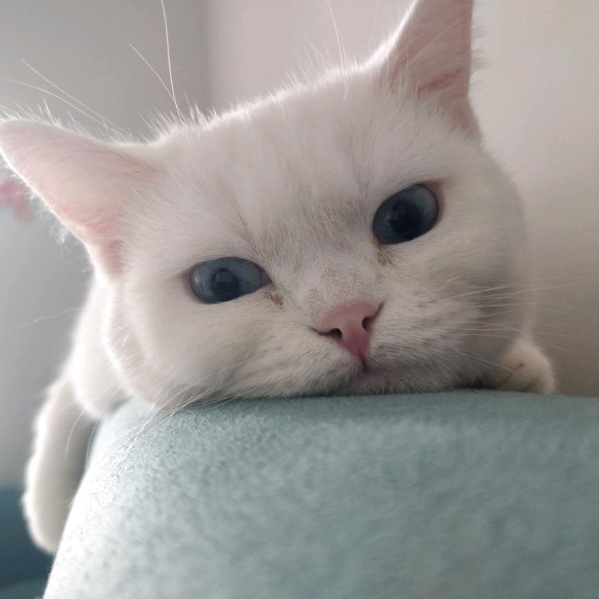 郑州装修张工-江莱装饰