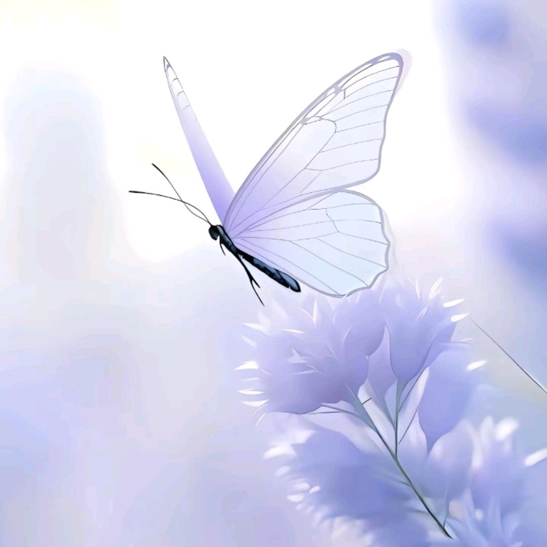 @似水流年