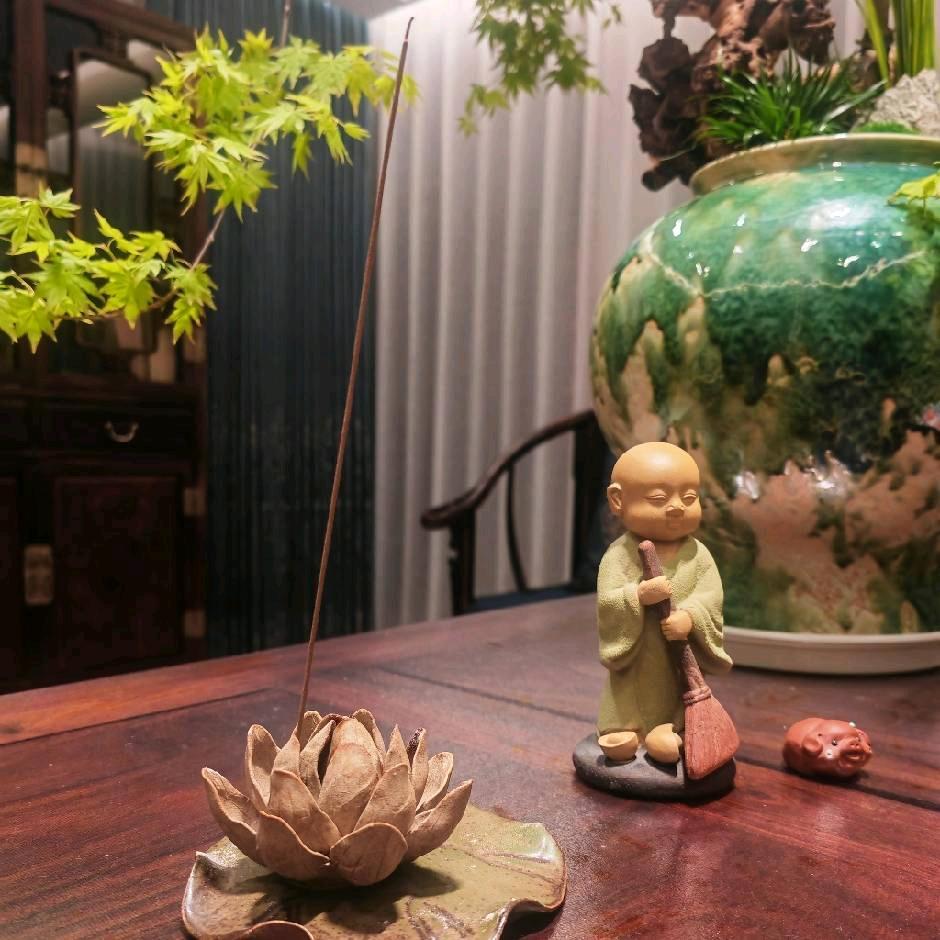 白衣不染