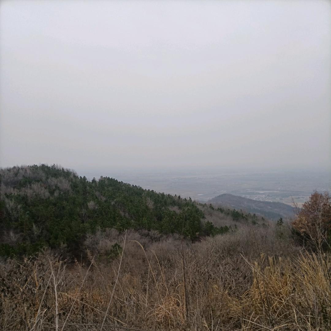 ：田坤
