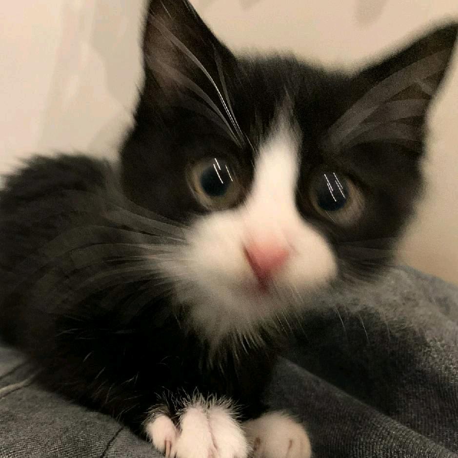 AAA星露谷农民老王