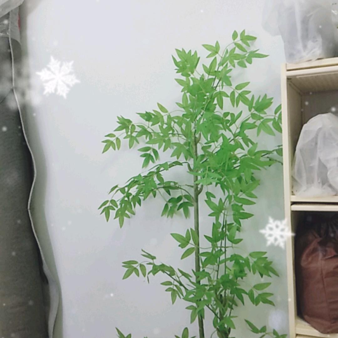 爱拼才会赢