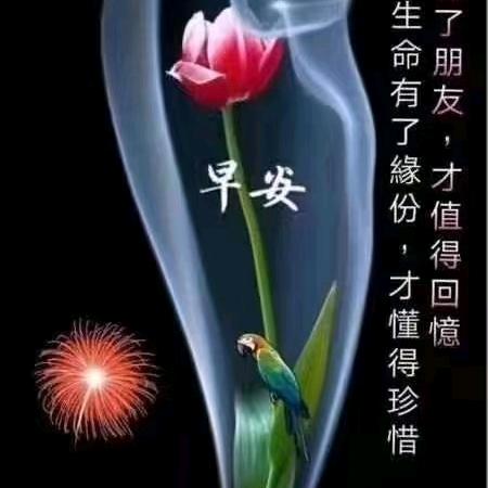 🌹小草🌱