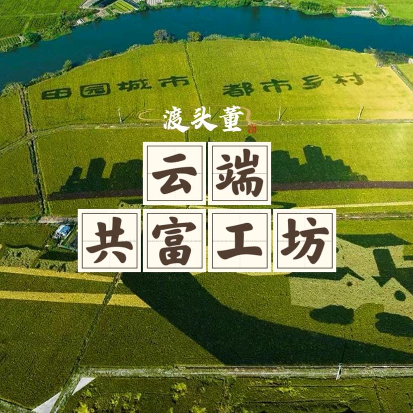 渡头董云端共富工坊