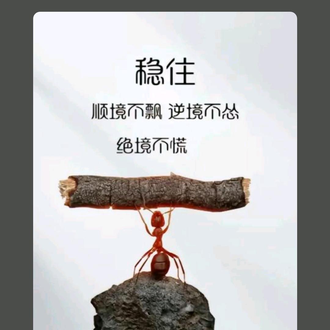 ❆꫁心已入冬͎ᤣ࿐꙳《绝地逢生》