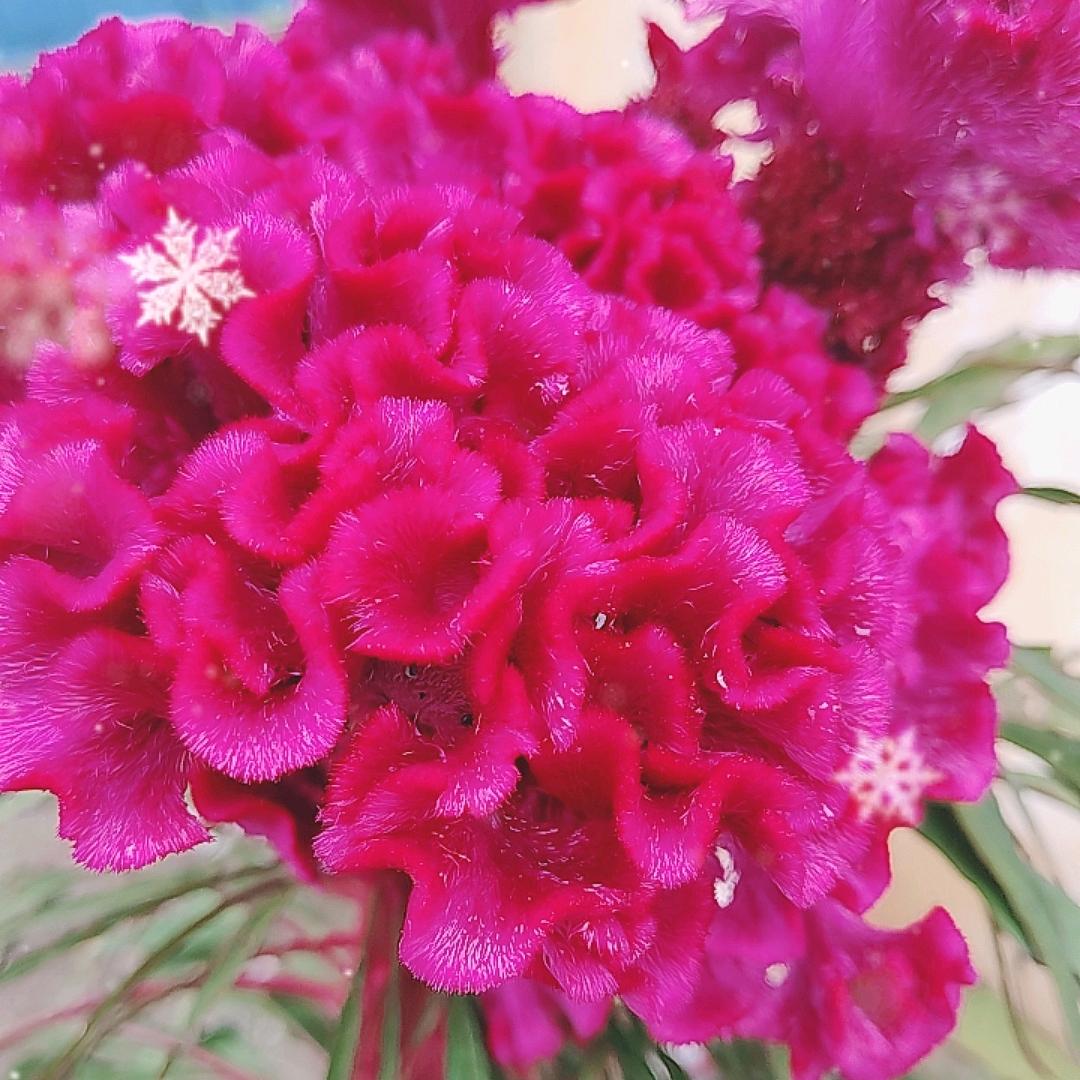 财源滚滚来