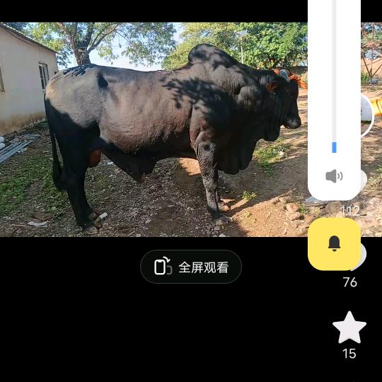 陶锋