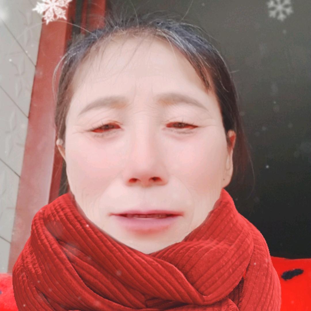 木李星辰