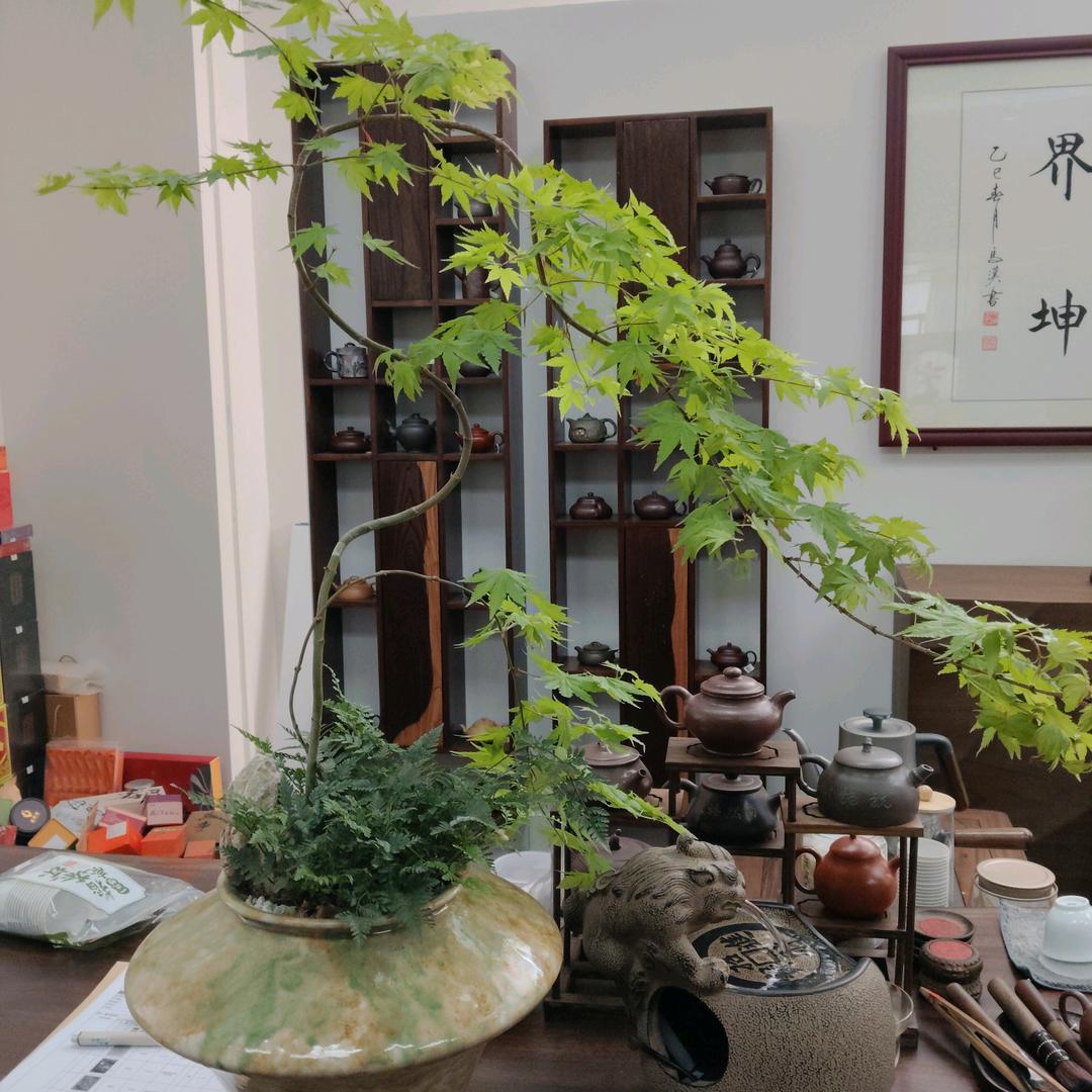 松林秘境生态园