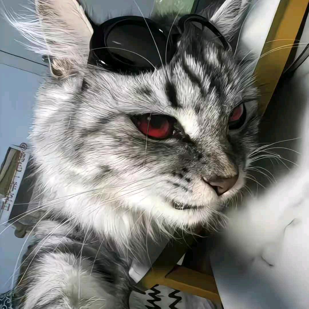安羡羡