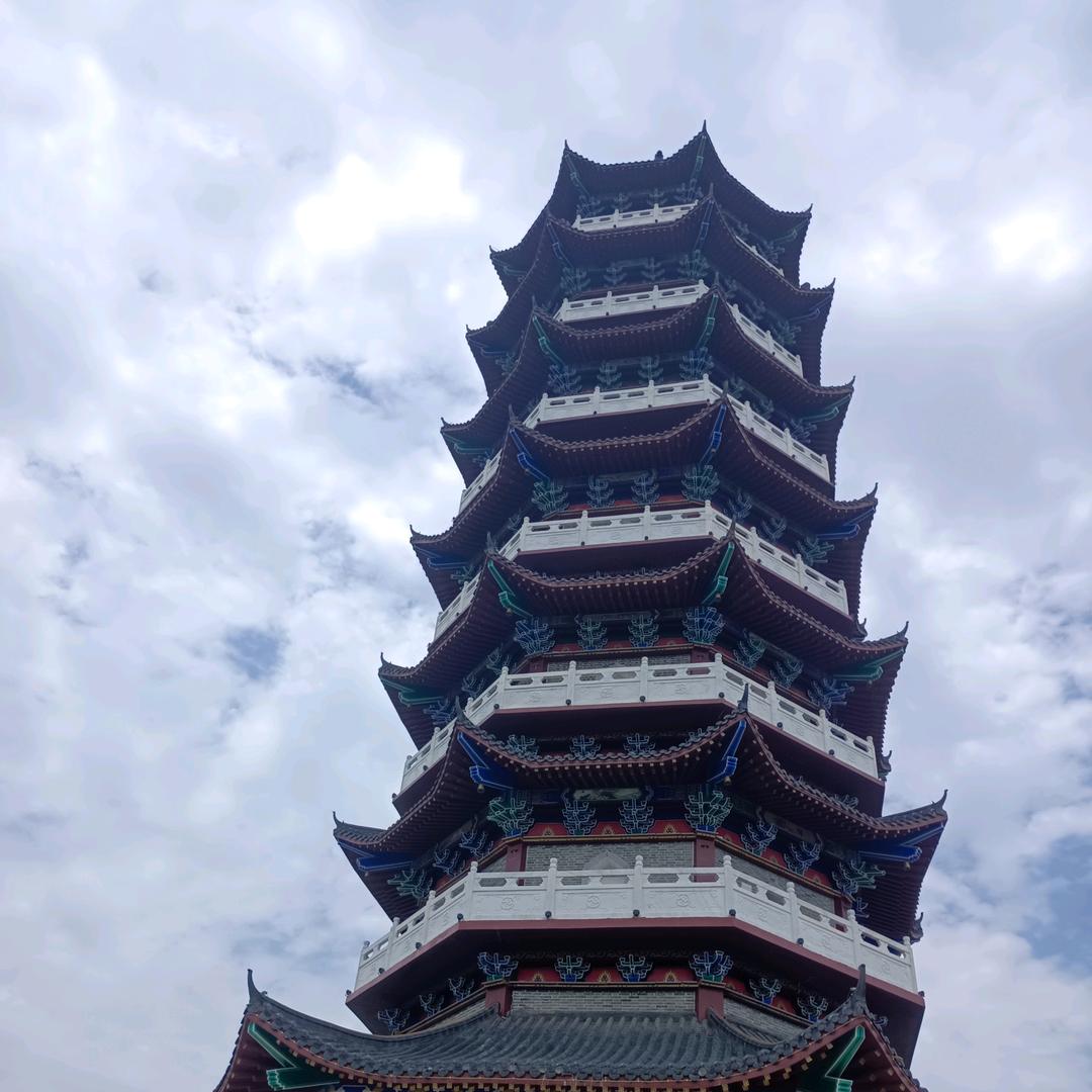 向阳而生
