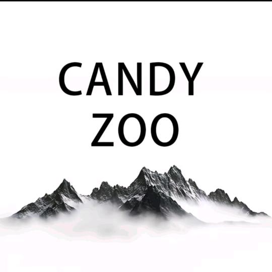 CandyZoo甄选店