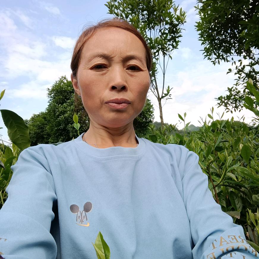 王二姐(晚上7点40)直播