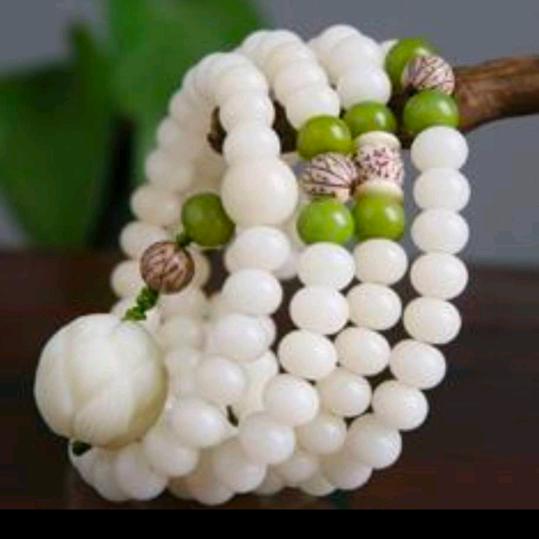 菩提树下（好水好氢好生活）