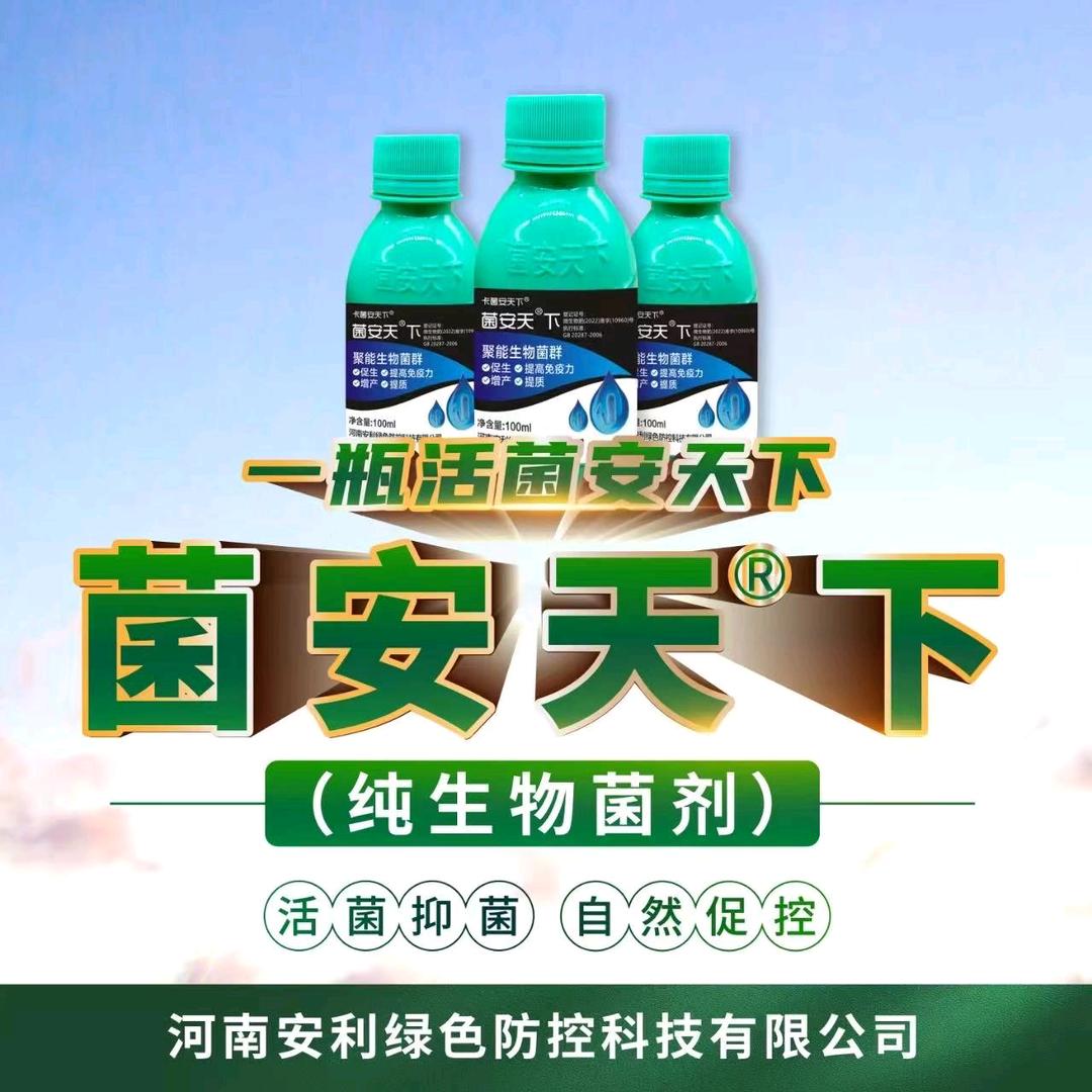 淮滨固城陈彬
