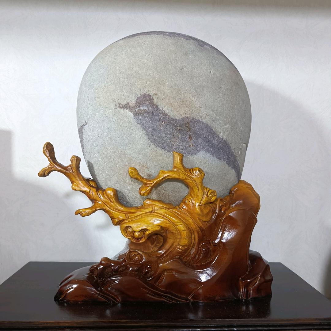 长江魅影