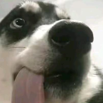温柔假象