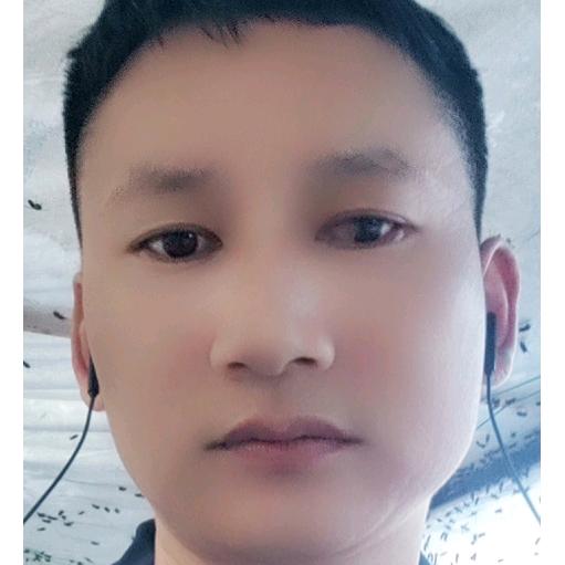 临沧   平哥   养蜂