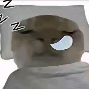 杰哥的彬彬
