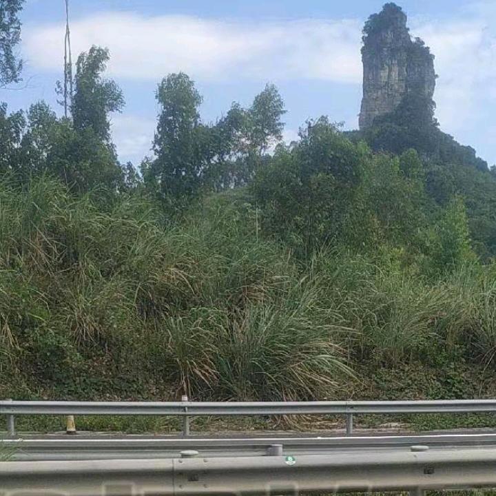 平安喜樂，萬事勝意