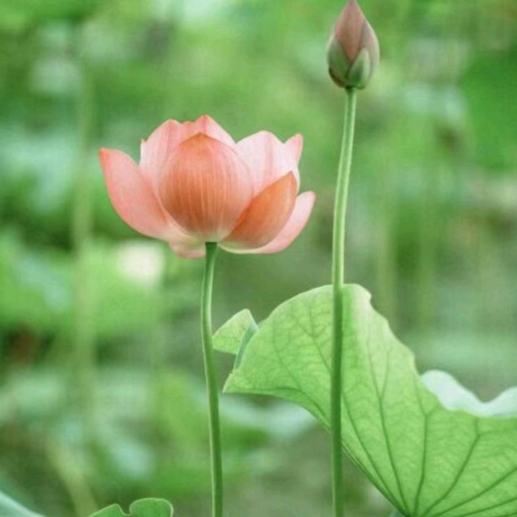 快乐人生（李欣）