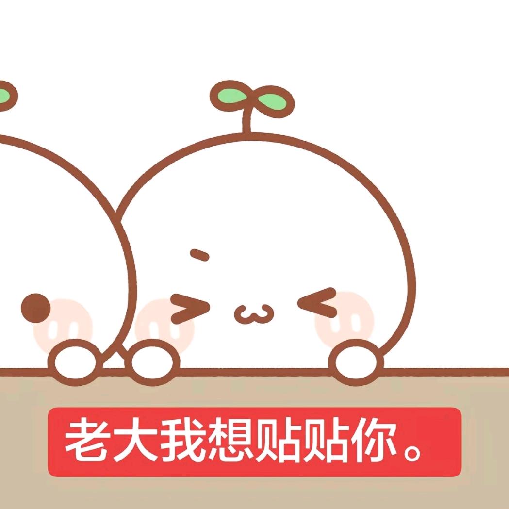 小佳🐾