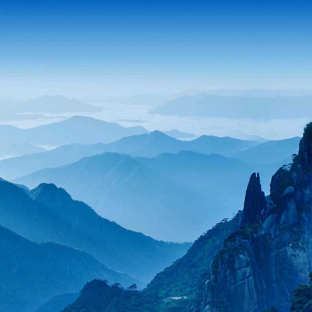 招12个媳妇儿养我