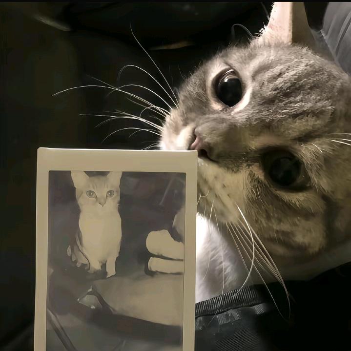 ㅤ                1