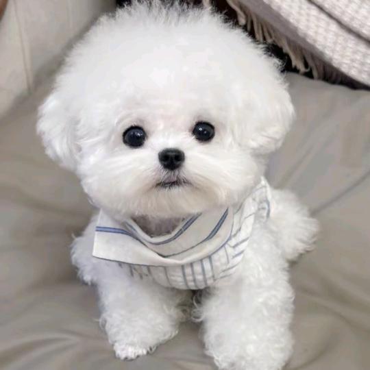 人生ღ百味✧