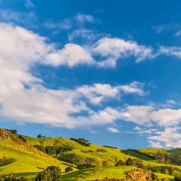 明白🇮🇹