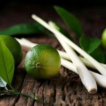 香茅柠檬