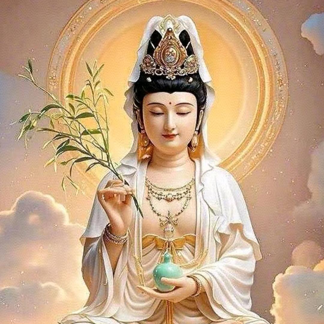 木木日用品好物分享（互关）