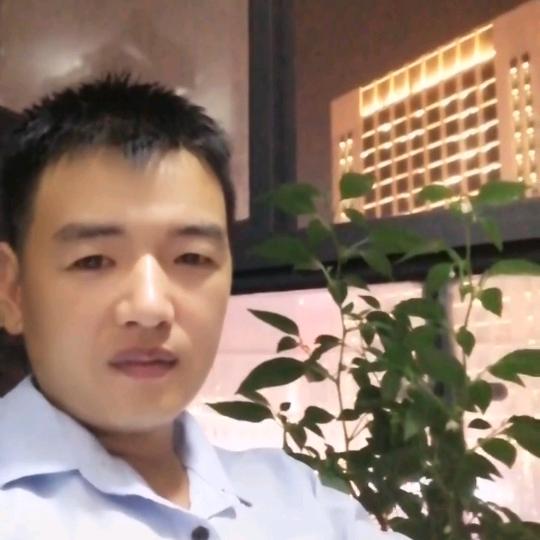 勤劳搬运工