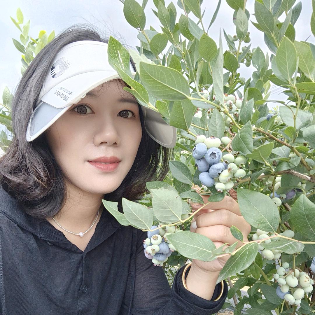 洪枫蓝莓苗木基地～蓝莓技术农场