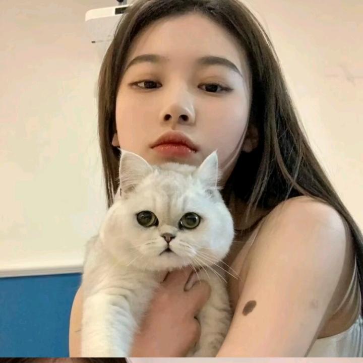 美女的心乱78糟