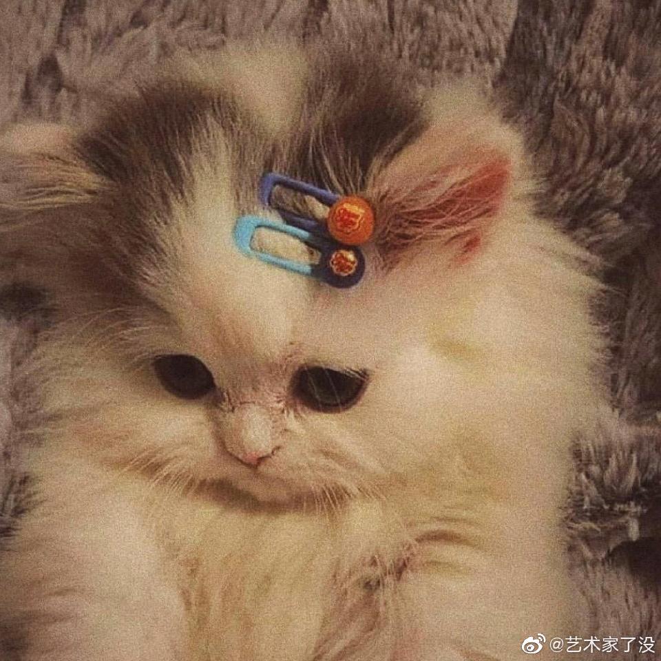 惜缘