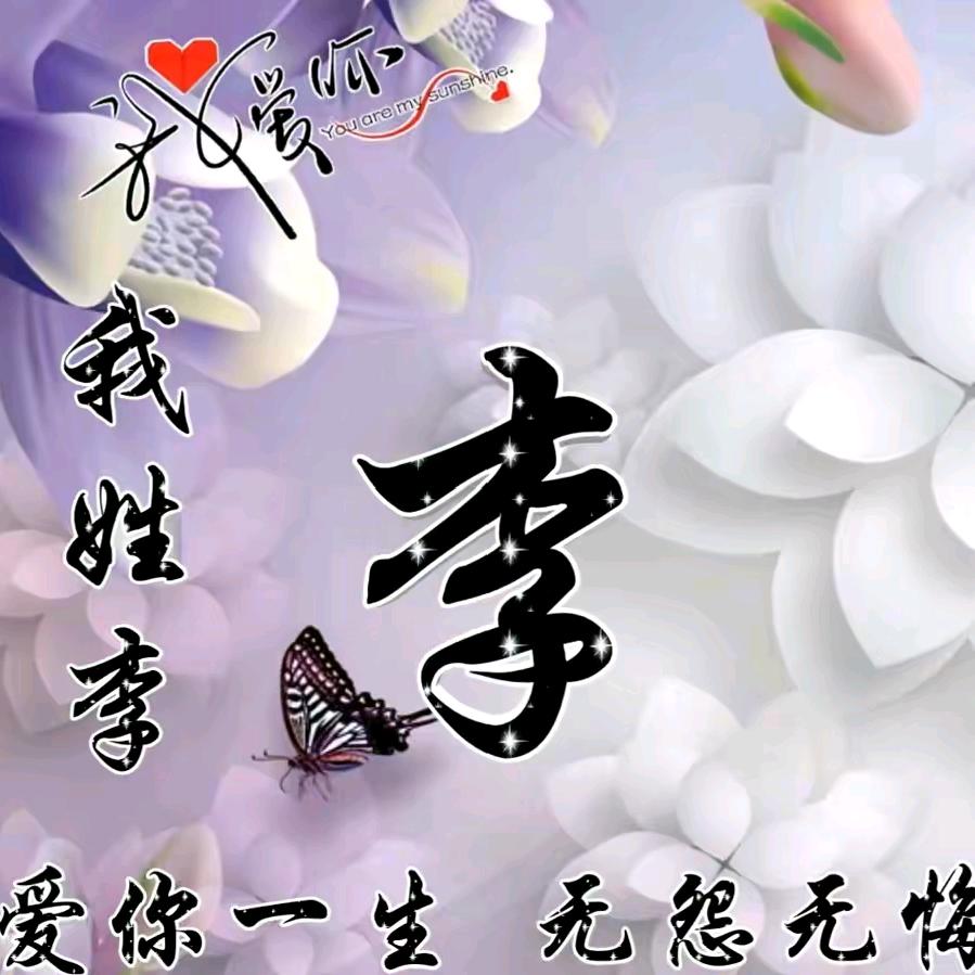 会飞的鱼