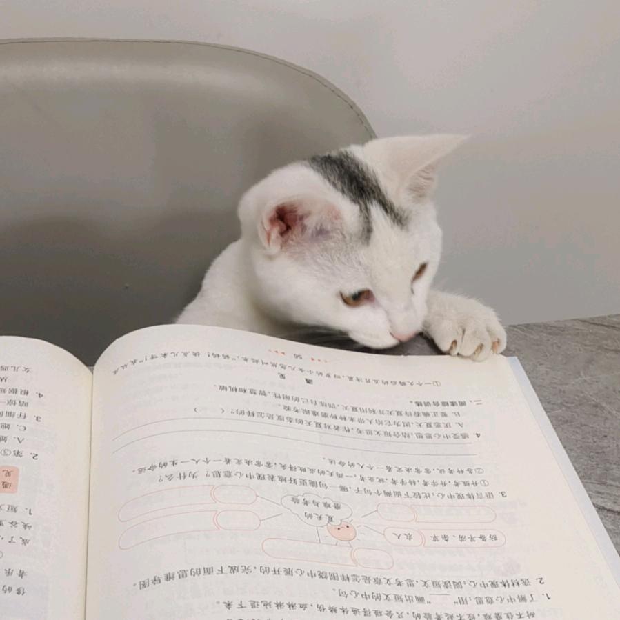 武汉磊哥