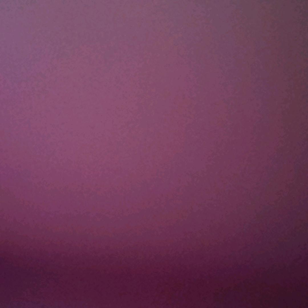 徐儿