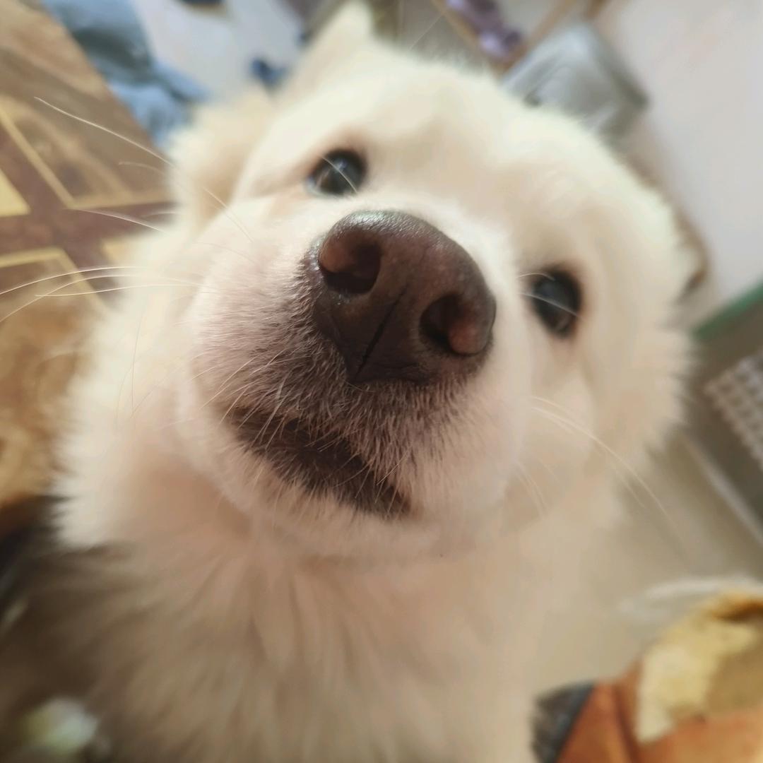 西湖灭世