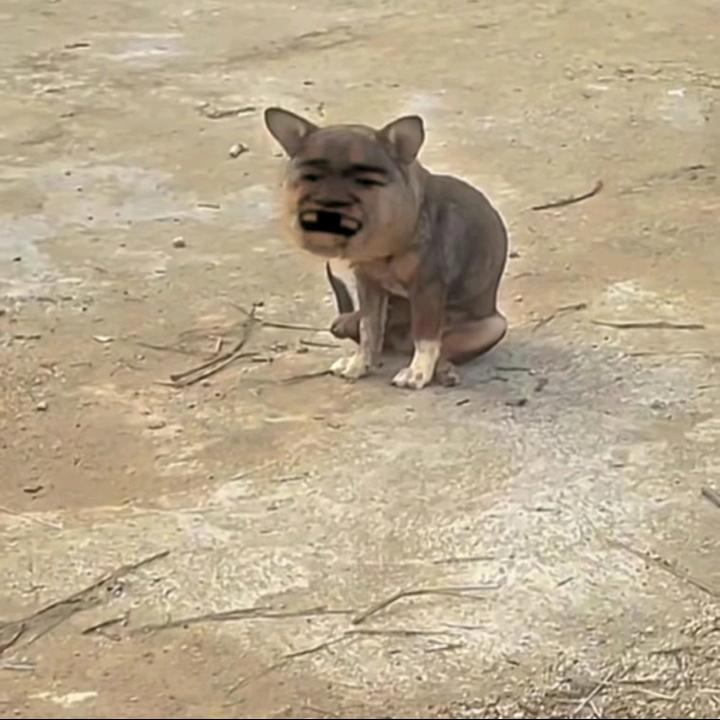 Awǒ，胖子的胖