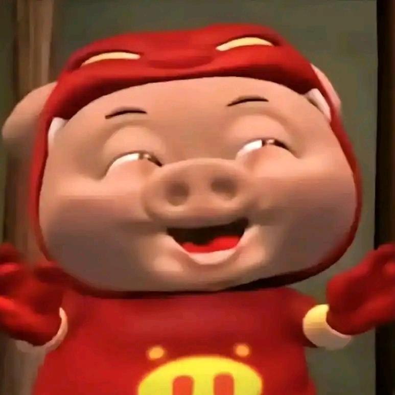 学过坤拳的阿猪