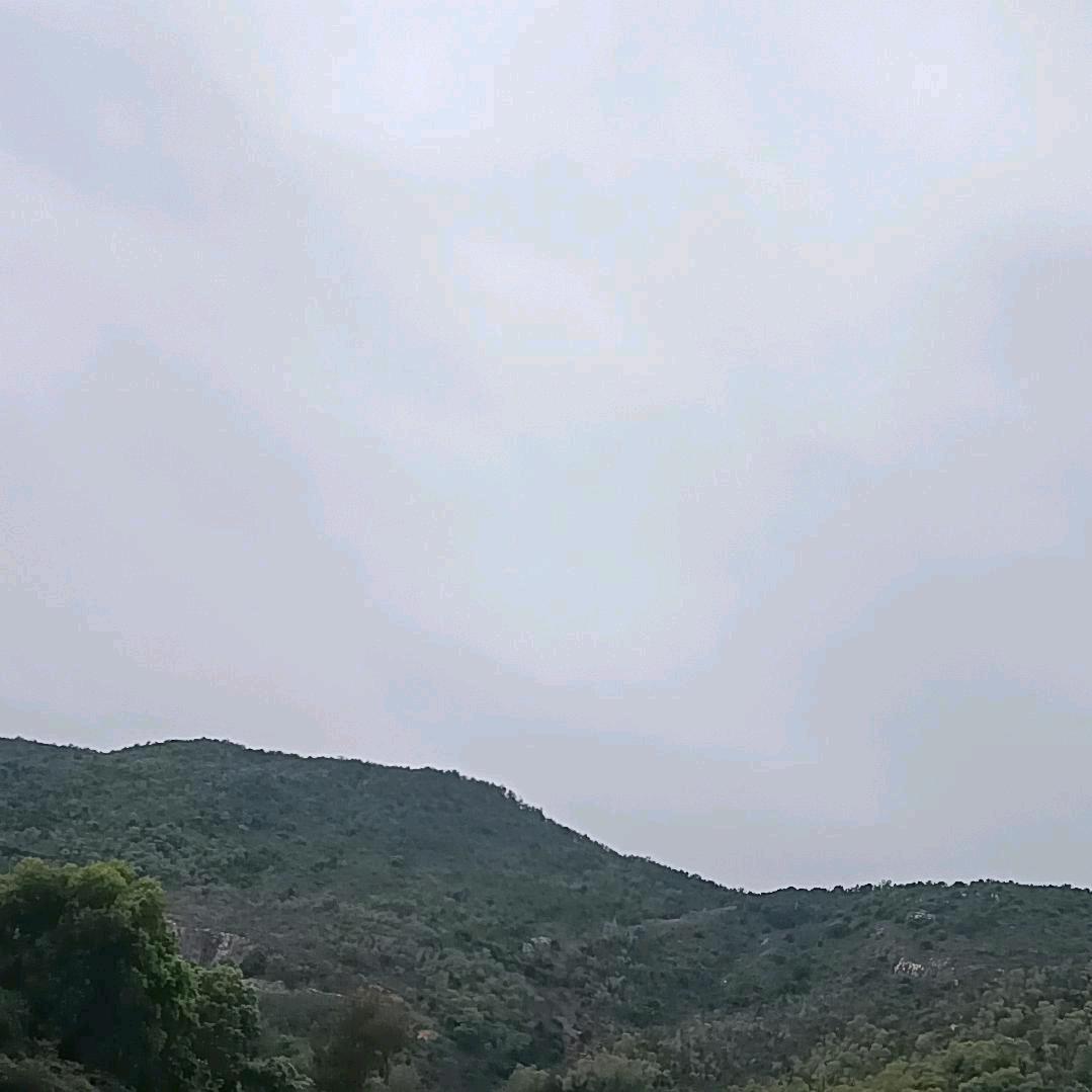 ✍因你而停§1