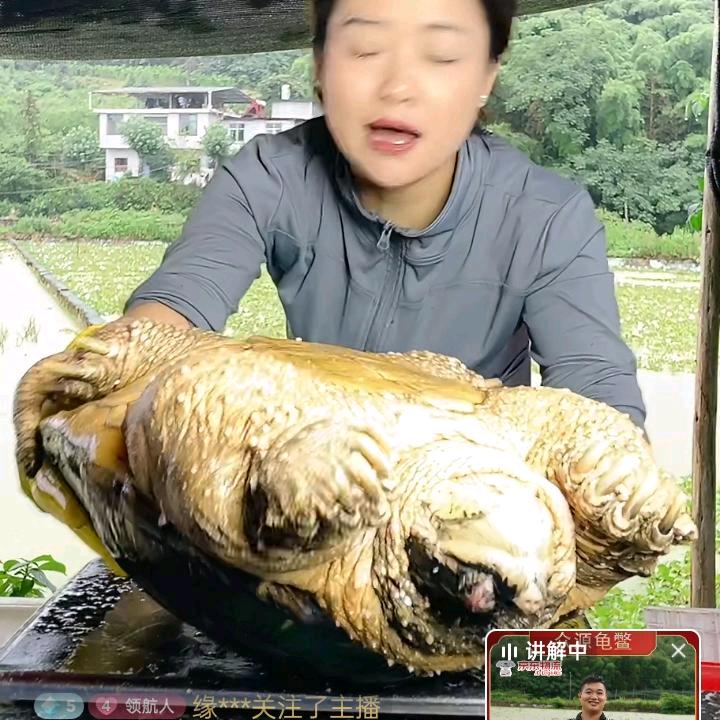 吃肉肉我喜欢